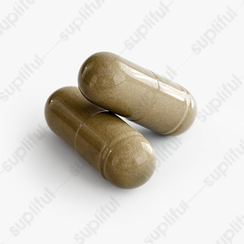 Ginkgo Biloba and Ginseng Energy Support Supplement