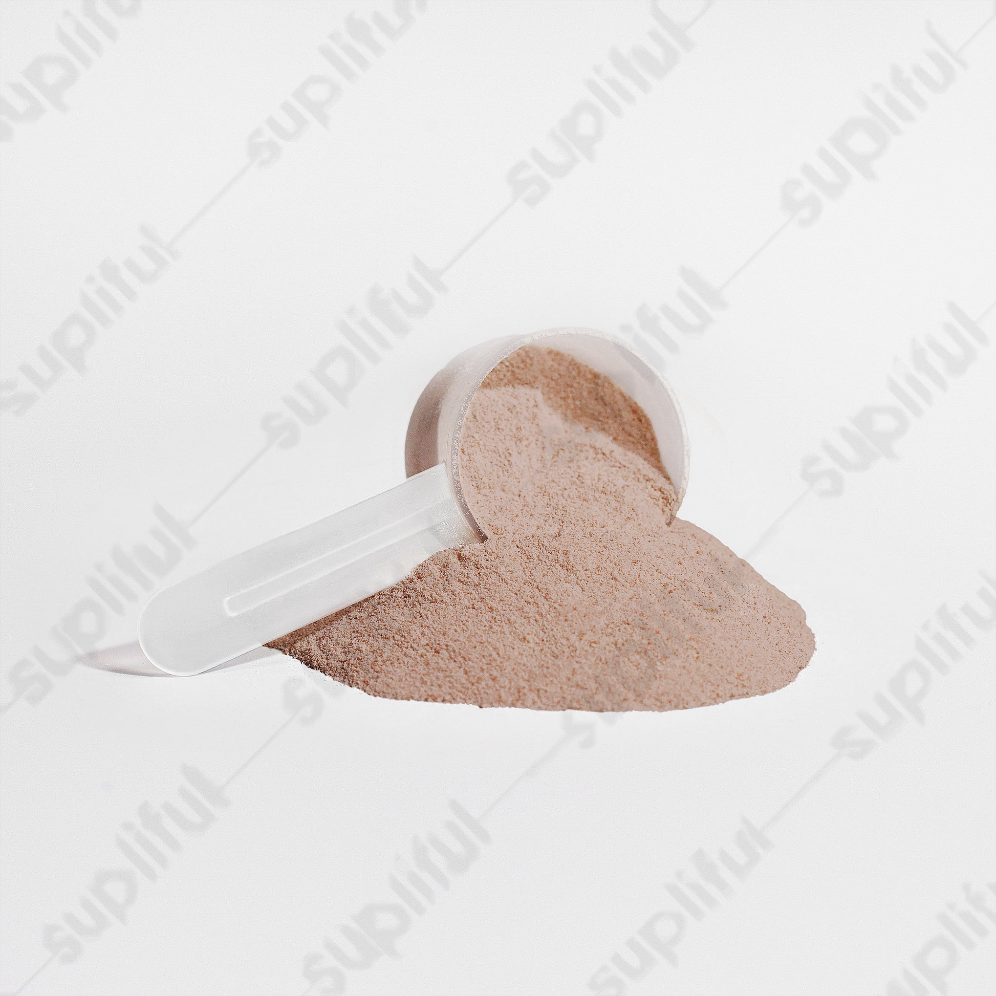 Plant Protein Chocolate Powder Supplement