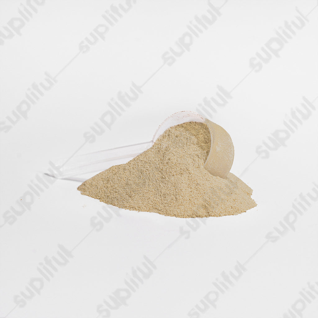Advanced 100% Whey Protein Isolate (Vanilla)