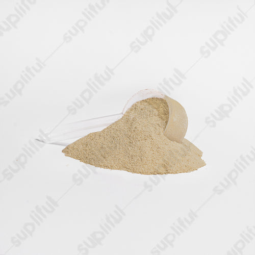 Advanced 100 Whey Protein Isolate Vanilla