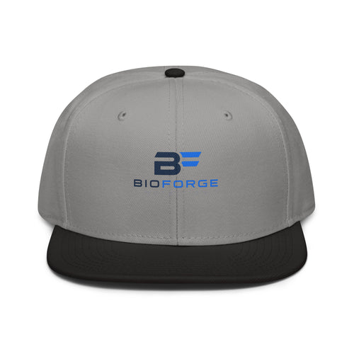 structured snapback hat